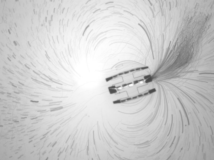 The Robot That Fits on a Fingerprint