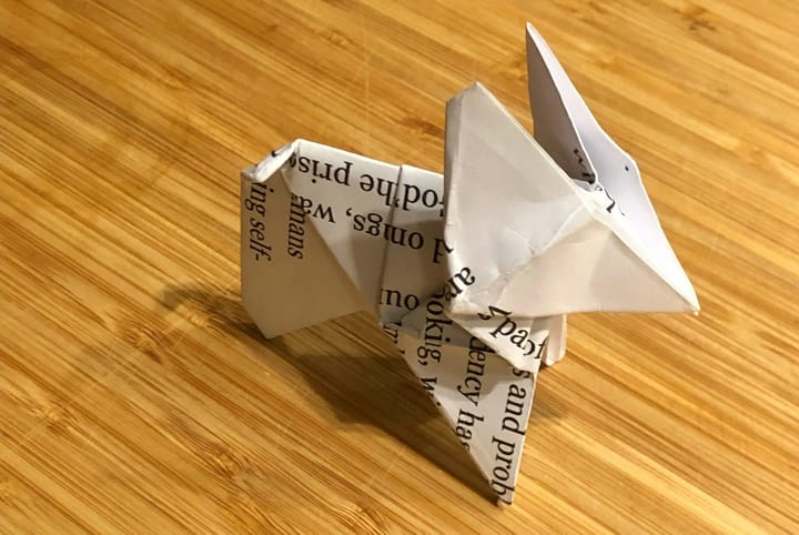 Stem activites at home, science experiments for kids